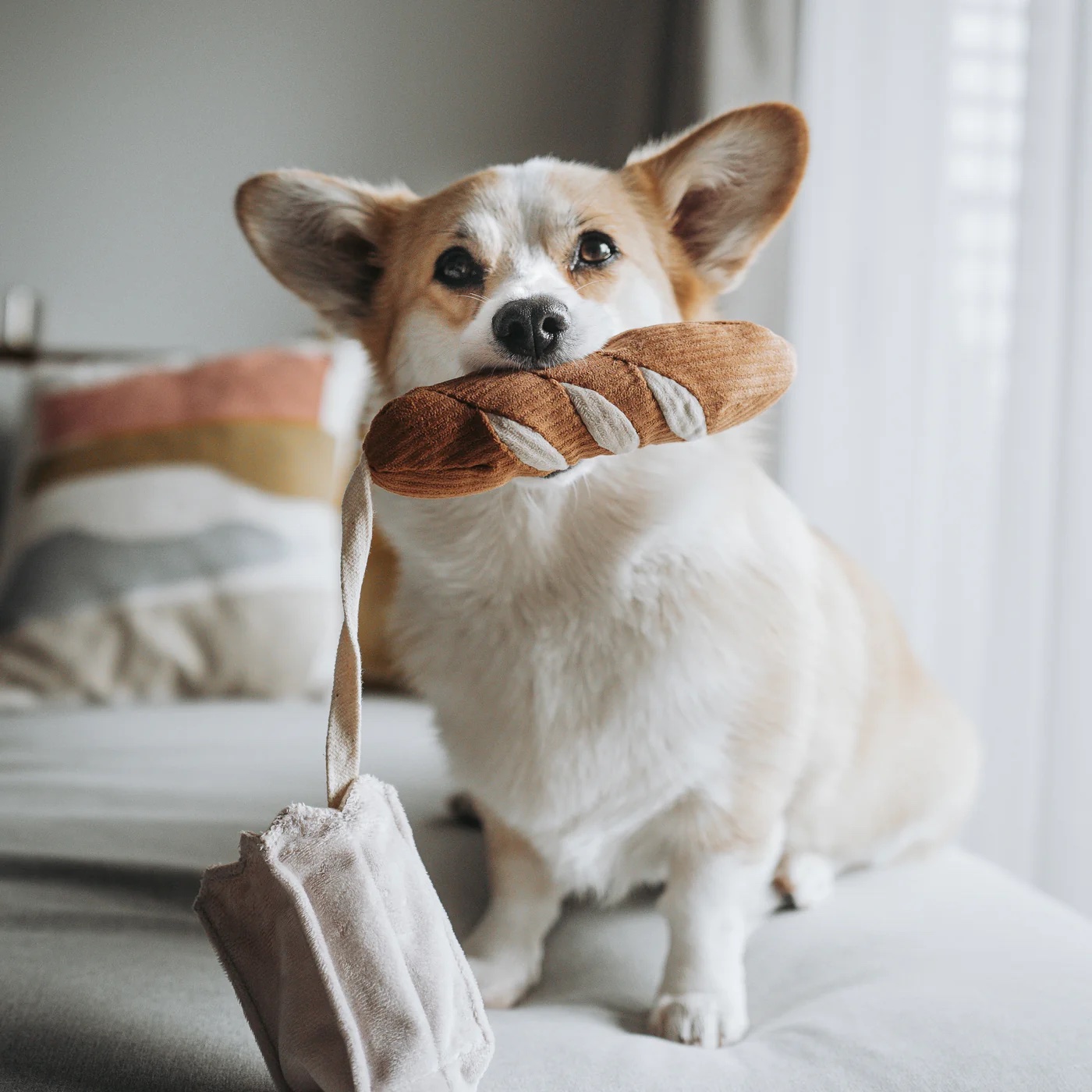 Hundespielzeug Mini-Baguette